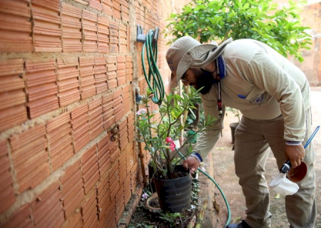Mato Grosso do Sul registra 7.865 casos confirmados de dengue
