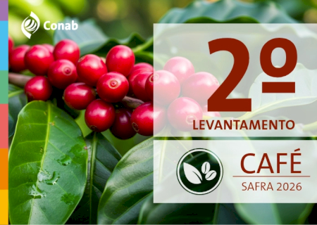 Produção de café deve ter alta de 18% e bater recorde na safra 2026