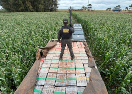 Motorista foge por milharal e abandona caminhão com 6 toneladas de maconha em Dourados