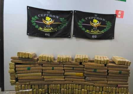 Polícia apreende quase 300 quilos de maconha em Nova Andradina