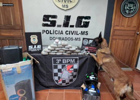 Após apreensão e investigação, polícia cumpre mandados contra o tráfico em Dourados