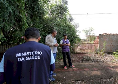 Prefeitura vistoria mais 1.428 imóveis e identifica 5 focos de Chikungunya