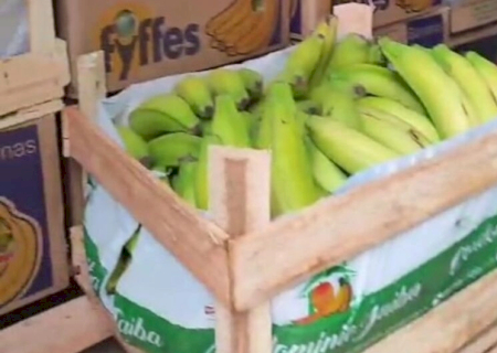 Funcionário é preso após desviar frutas e lucrar R$ 5 mil em um mês