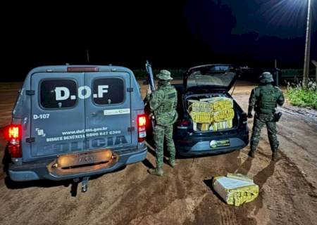 Maconha avaliada em R$ 580 mil é apreendida e dois são presos