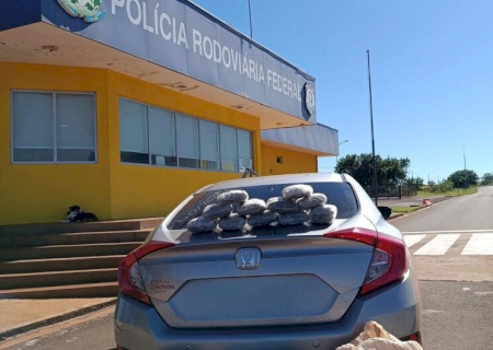 Mulher é presa com 50 quilos de skunk enquanto viajava com a filha menor