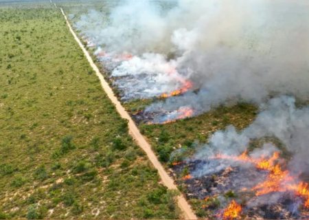 Governo decreta emergência ambiental em MS para enfrentamento aos incêndios florestais