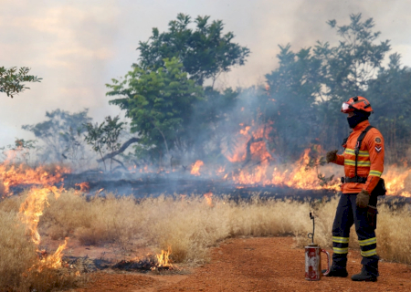Bombeiros de MS se preparam para temporada de incêndios florestais com treinamentos e ações em campo