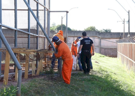 Parceria garante capacitação profissional a internos e melhoria estrutural de presídios