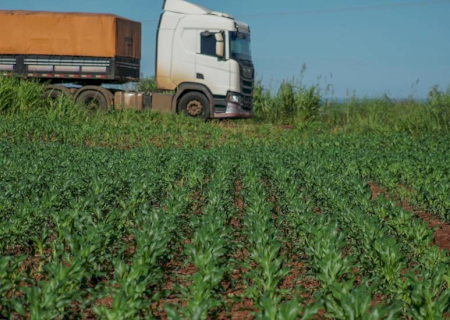 Com 80% da produção nas rodovias, MS enfrenta desafio para escoar safra