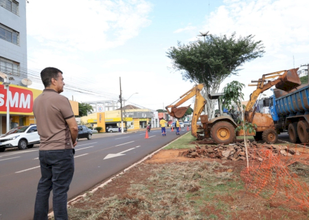 Prefeitura inicia revitalização de canteiros centrais em quatro pontos da cidade