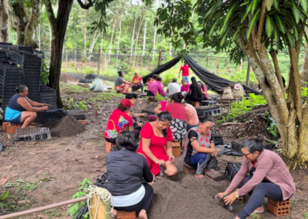 Mulheres da Amazônia se unem para enfrentar as mudanças climáticas