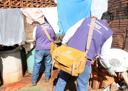 Prefeitura vistoria 7.231 imóveis em uma semana e encontra 19 focos do Aedes aegypti