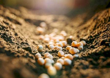 Instabilidade internacional causa aumento no preço de fertilizantes