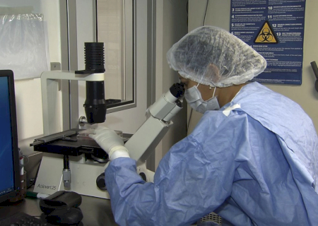 Como cientistas 'curaram' infectados com HIV