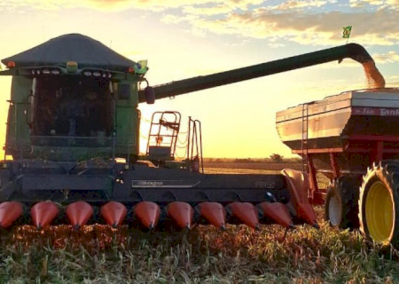 Contratação de crédito rural cai 22% ao final do Plano Safra 25/26 em MS