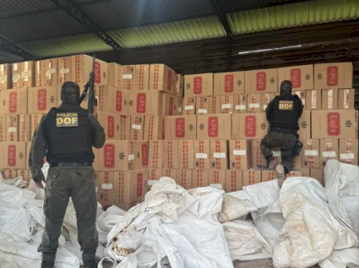 Polícia desarticula depósito e apreende 100 mil pacotes de cigarros em galpão