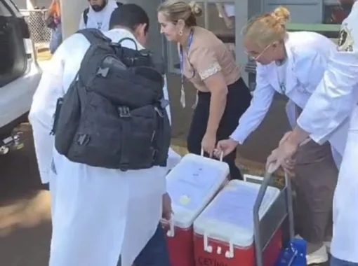 Órgãos de enfermeira assassinada pelo marido salvam 3 vidas