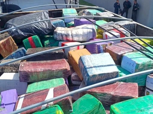 Ação conjunta apreende 10t de maconha em carreta na BR-163