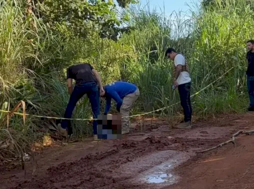 Corpo de mulher é encontrado às margens de estrada com perfuração na testa