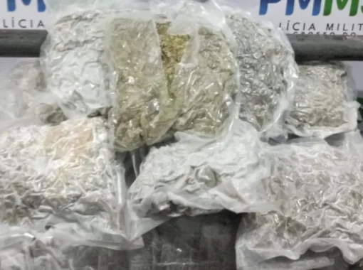 Rapaz é preso tentando embarcar com skunk em terminal rodoviário