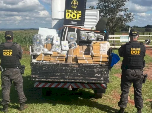 Mudança em caminhão escondia mais de meia tonelada de maconha em Dourados