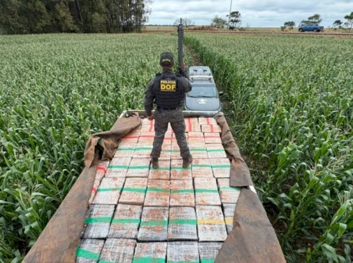 Motorista foge por milharal e abandona caminhão com 6 toneladas de maconha em Dourados