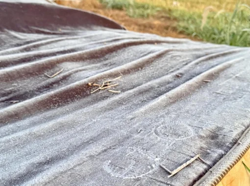 Seis cidades de Mato Grosso do Sul tiveram geada na madrugada mais fria do ano