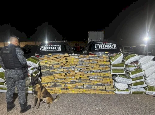 Choque encontra 1,2 tonelada de maconha em 'bunker' construído em residência
