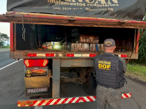 Dupla é presa em rodovia paulista com 3,5 toneladas de drogas que saiu de Ponta Porã