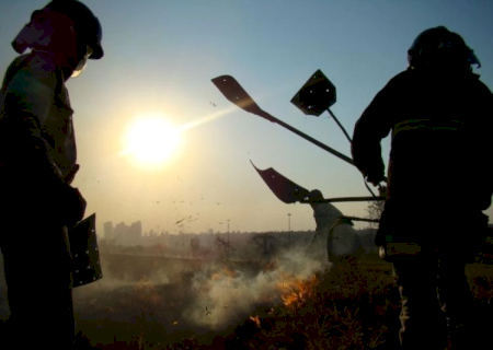 Famasul avalia como positiva simplificação de licenciamento para queima controlada