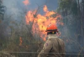 Governo decreta emergência ambiental em MS por seis meses