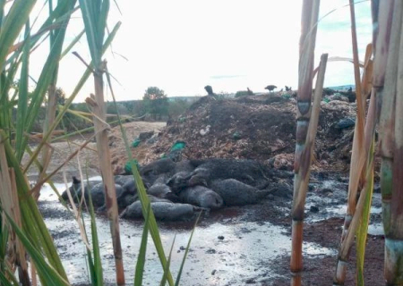 Itaporâ Està um Caos