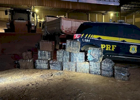 Com ajuda de cães farejadores, PRF apreende 452 quilos de cocaína em MS