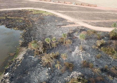 MP investiga queimadas em áreas de plantio de cana-de-açúcar em cidade de MS