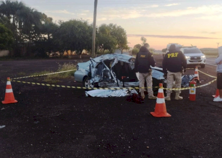 Carro atropela capivara, motorista perde controle, bate em coqueiro e mulher morre