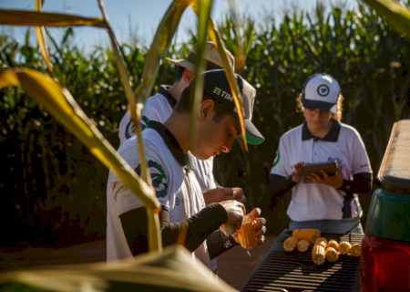 MS, MT e Goiás recebem técnicos do Rally da Safra para avaliar lavouras de milho