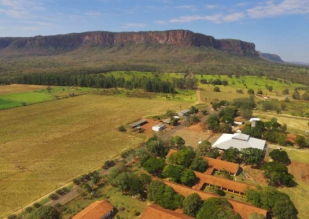 Governo e Uems fomentam desenvolvimento com inovação e sustentabilidade