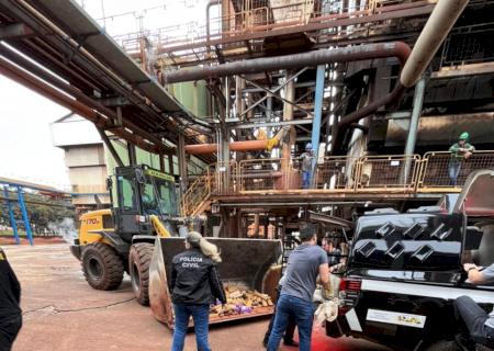 Quase uma tonelada de drogas é incinerada pela Polícia Civil