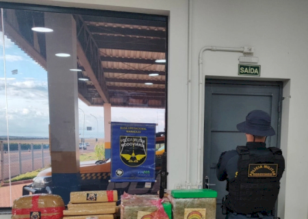 Motorista e passageiros são presos com carga de drogas avaliada em R$ 490 mil