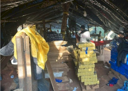 Senad estoura megacentro de produção de maconha que abasteceria o Brasil