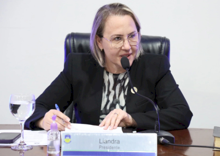 Liandra solicita melhorias na iluminação dos trevos da BR-463