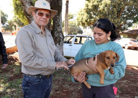Município intensifica vacinação antirrábica e oferece diversos pontos para imunização