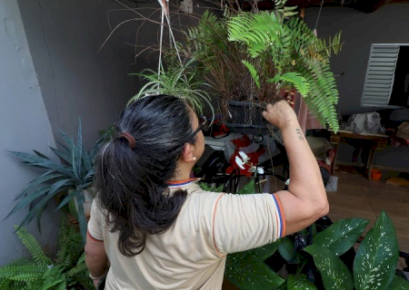 Mato Grosso do Sul registra 7.778 casos confirmados de dengue e 17 óbitos