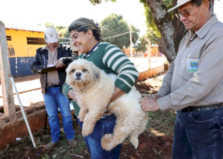 Prefeitura segue com vacinação antirrábica itinerante em setembro