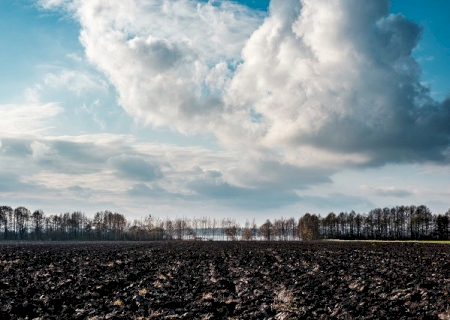 MP invesiga produtor rural por desmatamento e emissão de mil toneladas de carbono