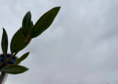 Mês inicia com previsão de temporal, granizo e ventos de até 60 km/h em MS