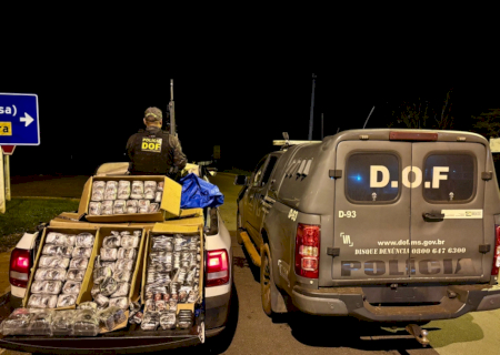 Mulher é presa com quase 100 quilos de haxixe em meio a carga de material hospitalar