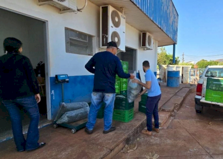 Prefeitura já distribuiu mais de 10 toneladas de alimentos por meio do PAA