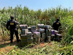 DOF apreende R$ 5,5 milhões em drogas escondidas em meio a mata