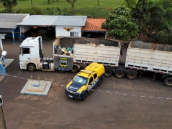 Carreta bitrem levava 20,2 toneladas de maconha escondidas em carga de milho; destino era o Sul